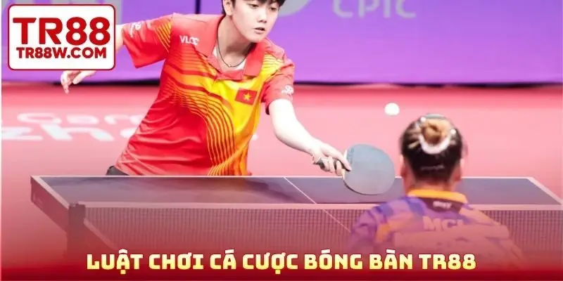 Luật chơi cá cược bóng bàn TR88